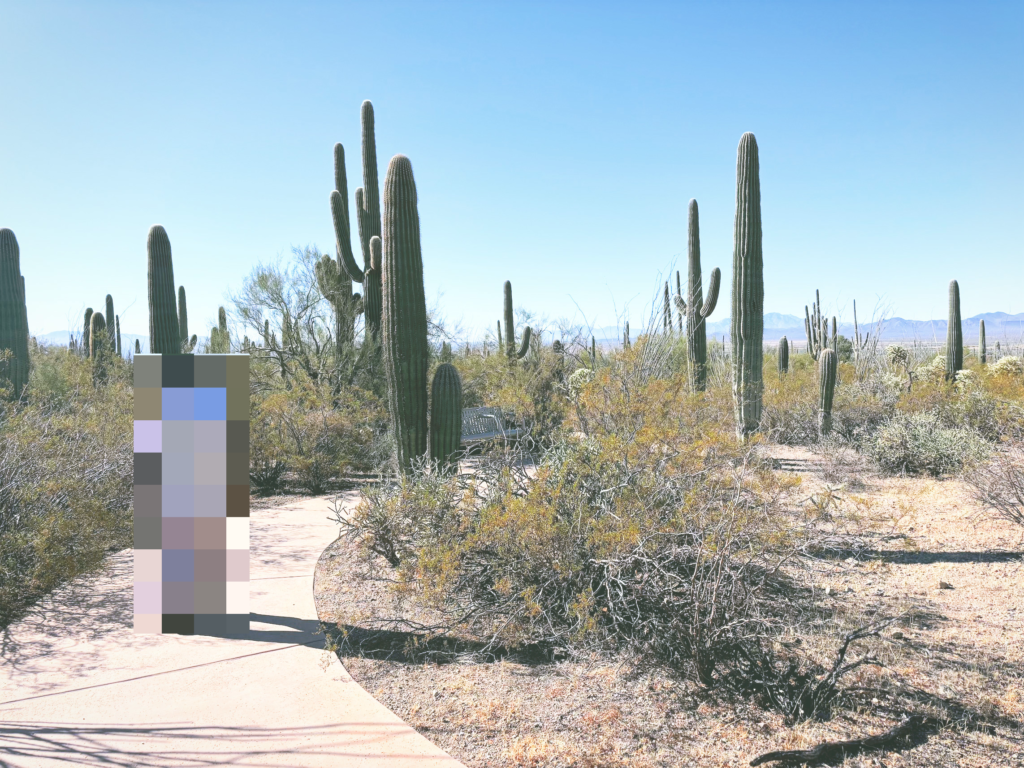 アメリカアリゾナ州サワロ国立公園Saguaro National Park見どころ魅力トレイル・ハイキングモデルコース日本人観光