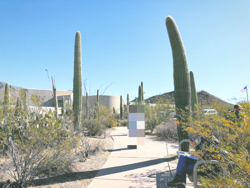 アメリカアリゾナ州サワロ国立公園Saguaro National Park見どころ魅力トレイル・ハイキングモデルコース日本人観光