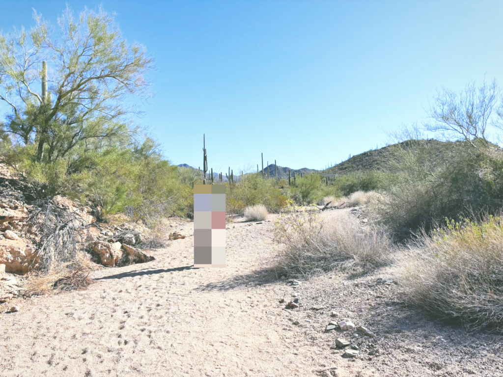 アメリカアリゾナ州サワロ国立公園Saguaro National Park見どころ魅力トレイル・ハイキングモデルコース日本人観光