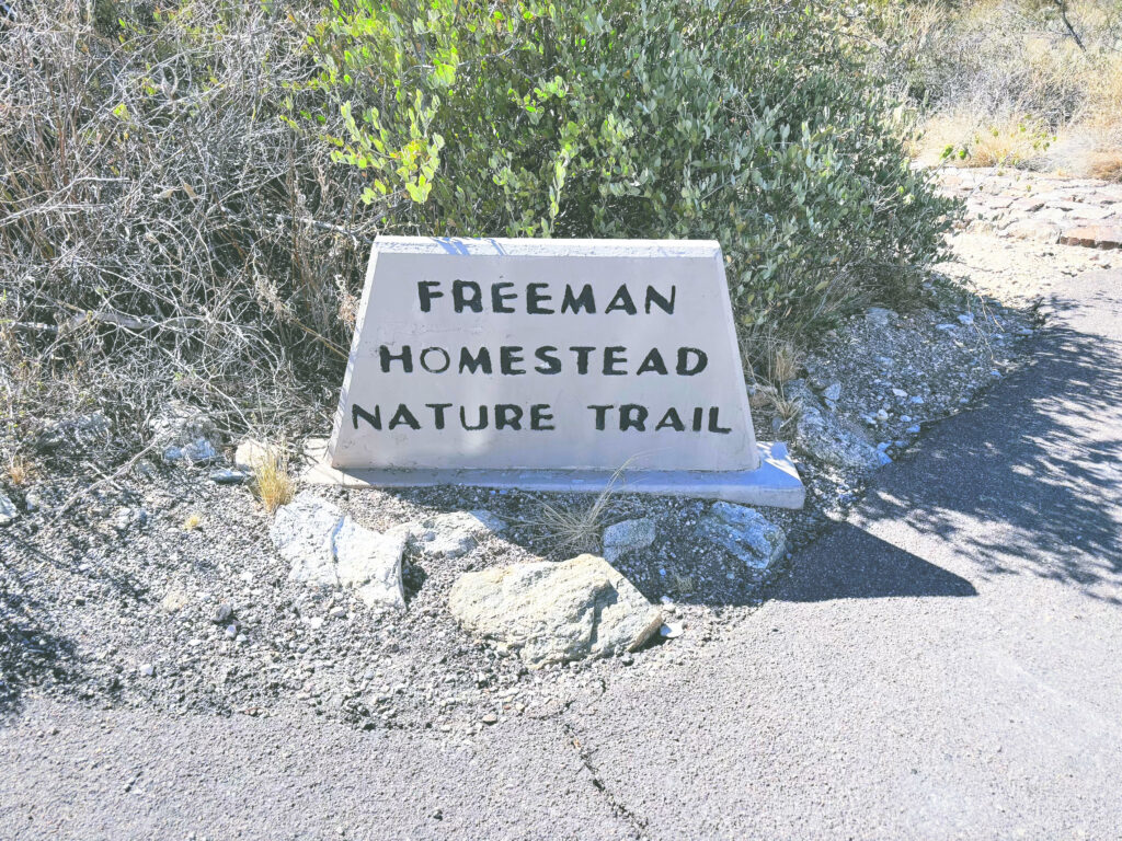 アメリカアリゾナ州サワロ国立公園Saguaro National Park見どころ魅力トレイル・ハイキングモデルコース日本人観光