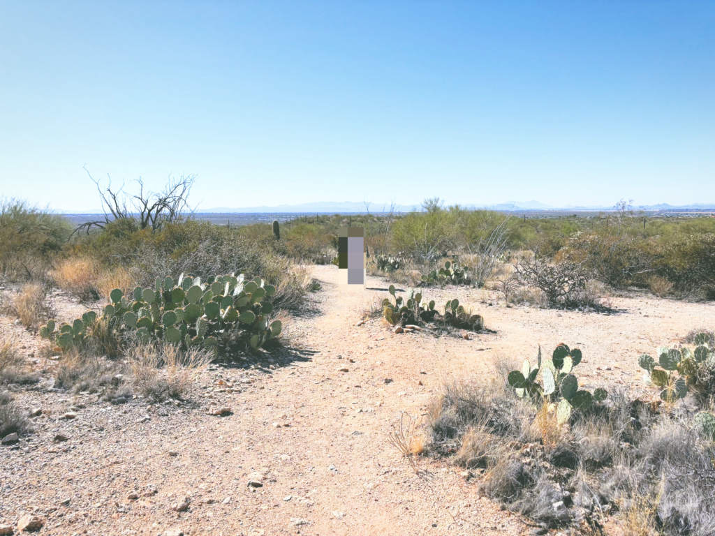 アメリカアリゾナ州サワロ国立公園Saguaro National Park見どころ魅力トレイル・ハイキングモデルコース日本人観光