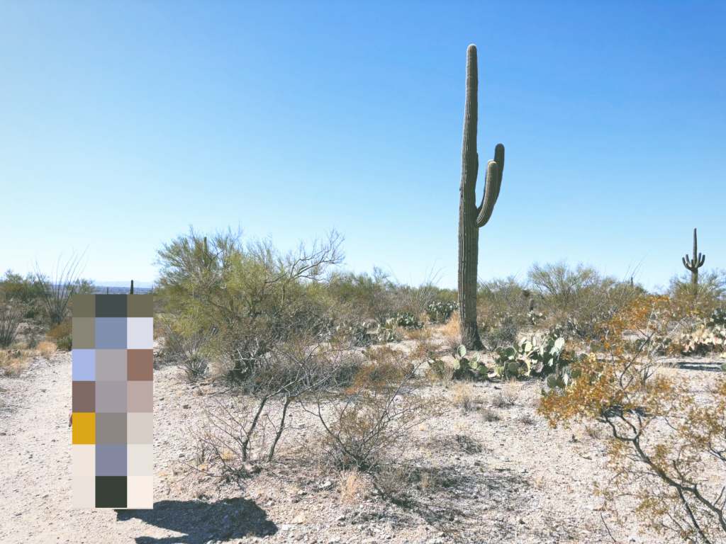 アメリカアリゾナ州サワロ国立公園Saguaro National Park見どころ魅力トレイル・ハイキングモデルコース日本人観光