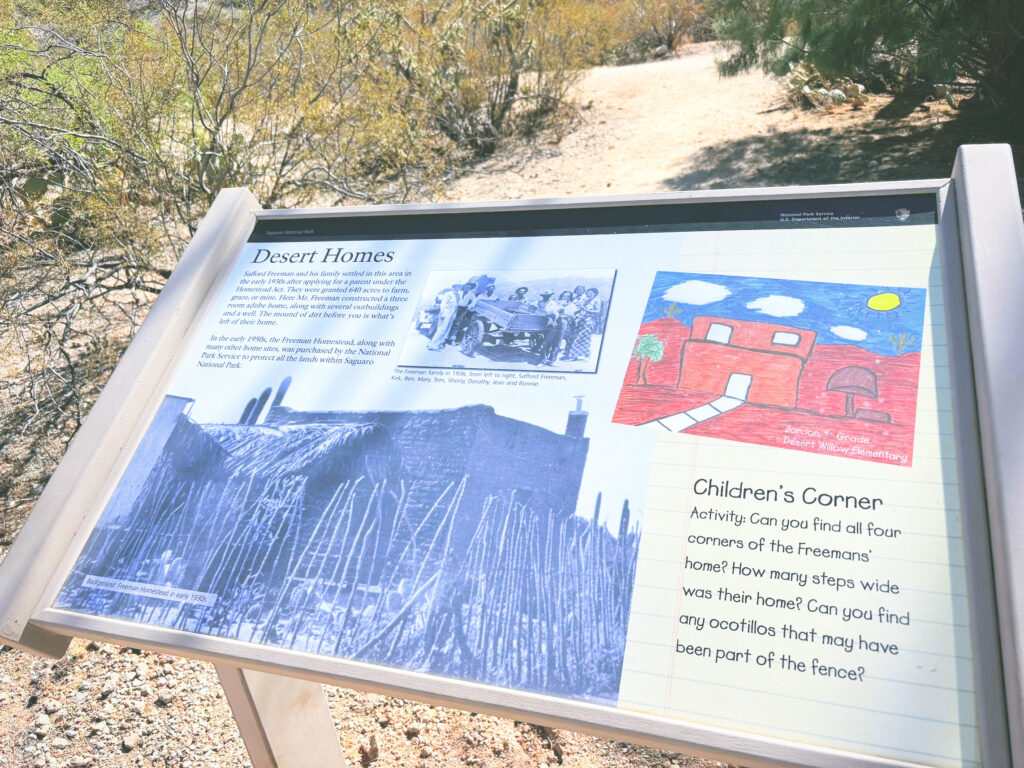 アメリカアリゾナ州サワロ国立公園Saguaro National Park見どころ魅力トレイル・ハイキングモデルコース日本人観光