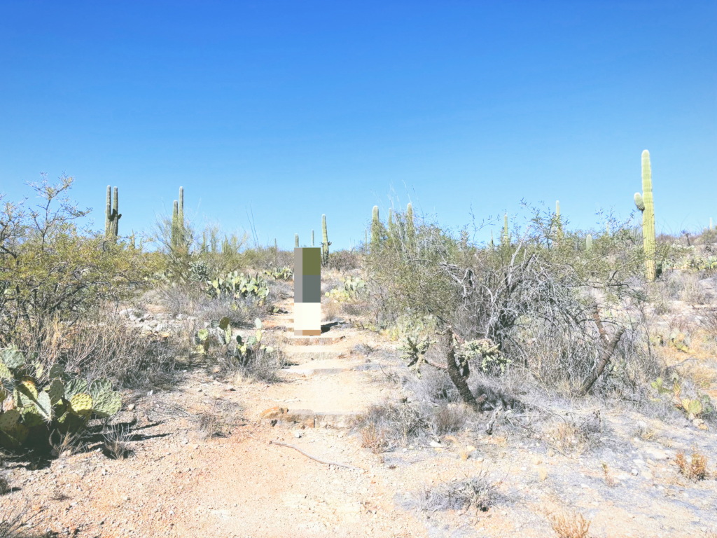 アメリカアリゾナ州サワロ国立公園Saguaro National Park見どころ魅力トレイル・ハイキングモデルコース日本人観光