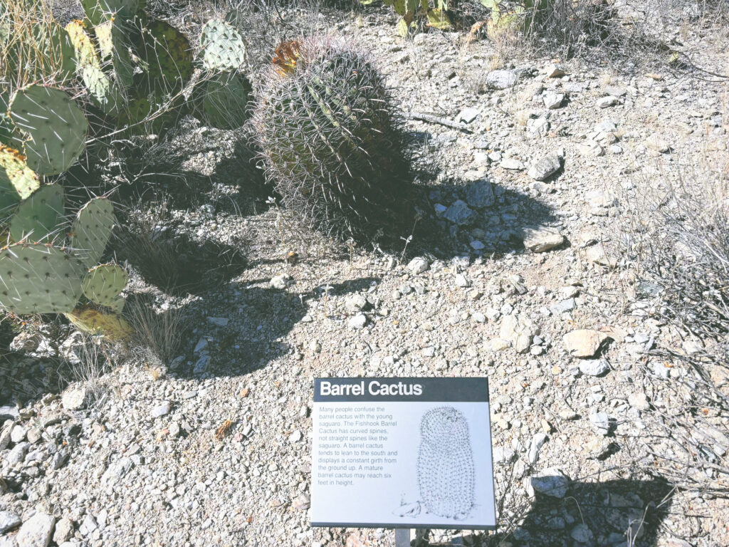 アメリカアリゾナ州カーサグランドルインズ国定公園Casa Grande Ruins National Monument見どころ魅力日本人観光