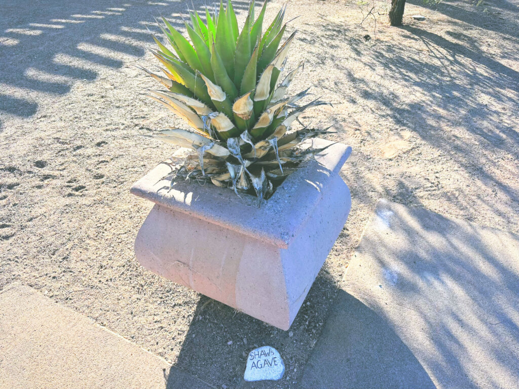 アメリカアリゾナ州カーサグランドルインズ国定公園Casa Grande Ruins National Monument見どころ魅力日本人観光