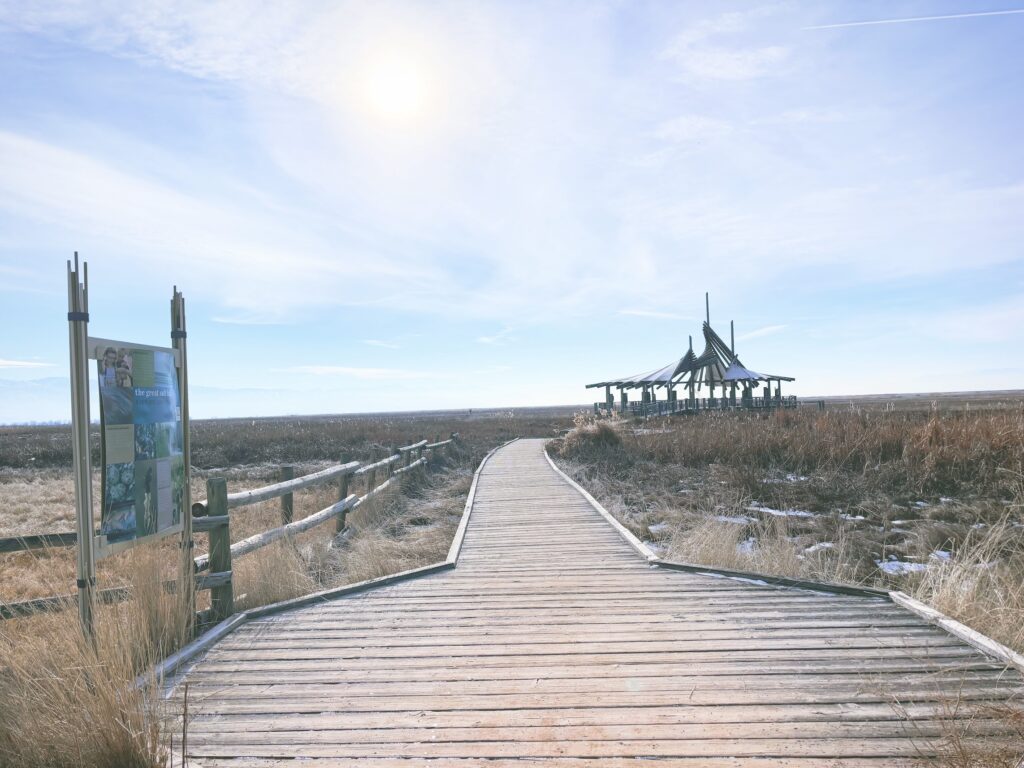 アメリカユタ州グレートソルトレイクショアランズ保護区Great Salt Lake Shorelands Preserve見どころ魅力トレイル・ハイキングモデルコース日本人観光