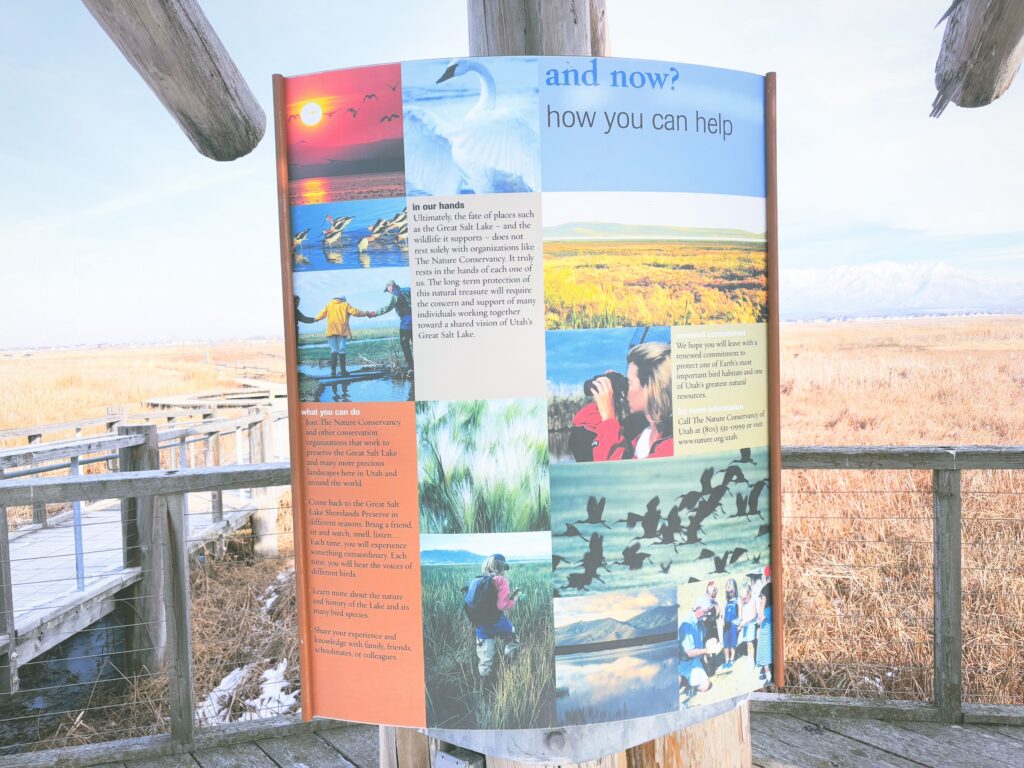 アメリカユタ州グレートソルトレイクショアランズ保護区Great Salt Lake Shorelands Preserve見どころ魅力トレイル・ハイキングモデルコース日本人観光