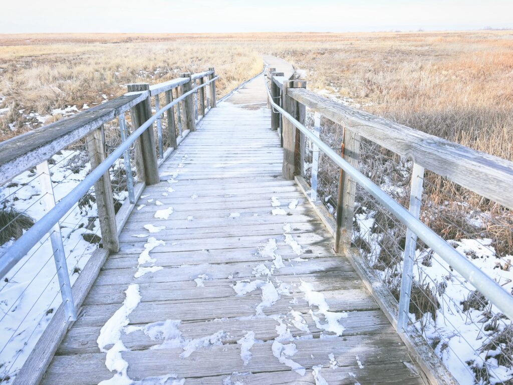 アメリカユタ州グレートソルトレイクショアランズ保護区Great Salt Lake Shorelands Preserve見どころ魅力トレイル・ハイキングモデルコース日本人観光