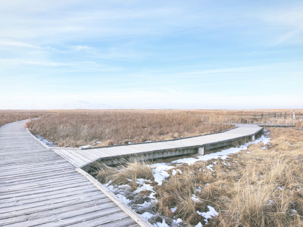 アメリカユタ州グレートソルトレイクショアランズ保護区Great Salt Lake Shorelands Preserve見どころ魅力トレイル・ハイキングモデルコース日本人観光