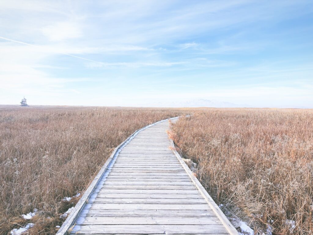 アメリカユタ州グレートソルトレイクショアランズ保護区Great Salt Lake Shorelands Preserve見どころ魅力トレイル・ハイキングモデルコース日本人観光