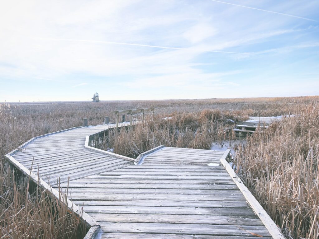 アメリカユタ州グレートソルトレイクショアランズ保護区Great Salt Lake Shorelands Preserve見どころ魅力トレイル・ハイキングモデルコース日本人観光