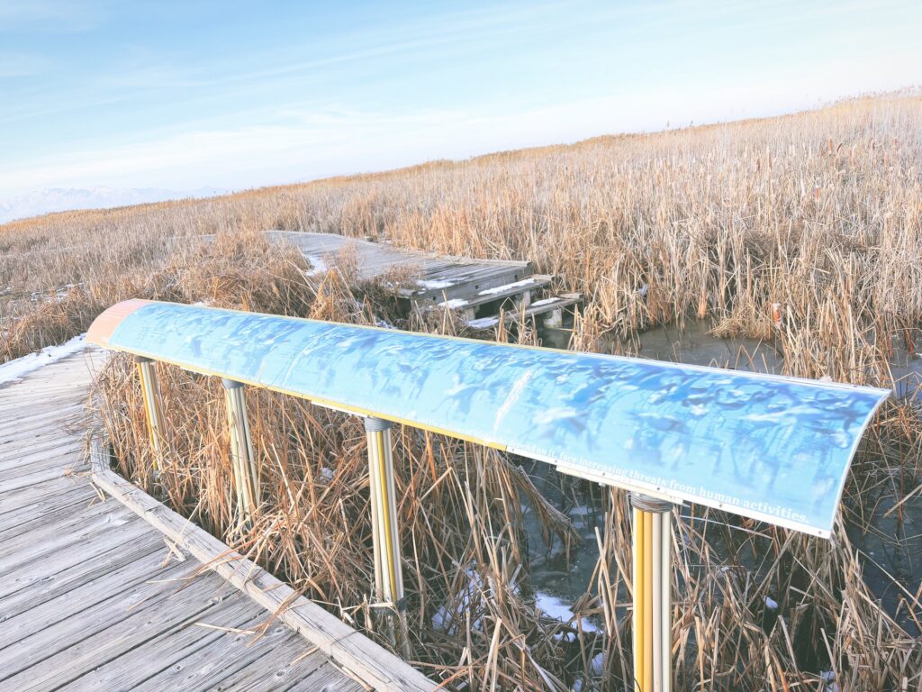 アメリカユタ州グレートソルトレイクショアランズ保護区Great Salt Lake Shorelands Preserve見どころ魅力トレイル・ハイキングモデルコース日本人観光