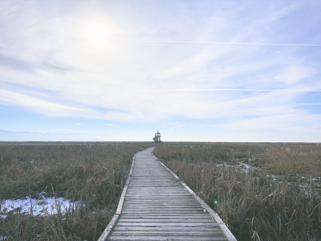 アメリカユタ州グレートソルトレイクショアランズ保護区Great Salt Lake Shorelands Preserve見どころ魅力トレイル・ハイキングモデルコース日本人観光