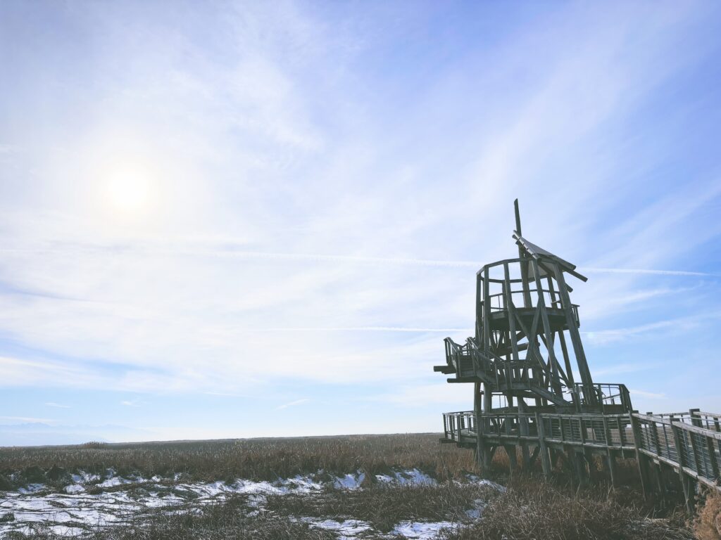 アメリカユタ州グレートソルトレイクショアランズ保護区Great Salt Lake Shorelands Preserve見どころ魅力トレイル・ハイキングモデルコース日本人観光