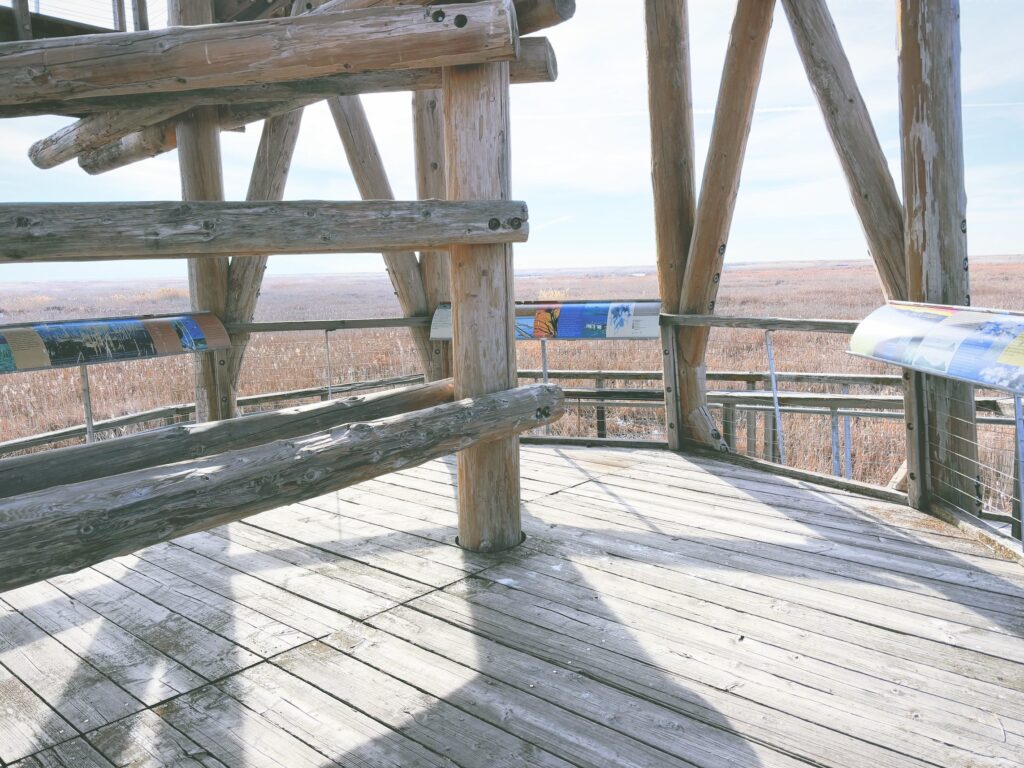 アメリカユタ州グレートソルトレイクショアランズ保護区Great Salt Lake Shorelands Preserve見どころ魅力トレイル・ハイキングモデルコース日本人観光