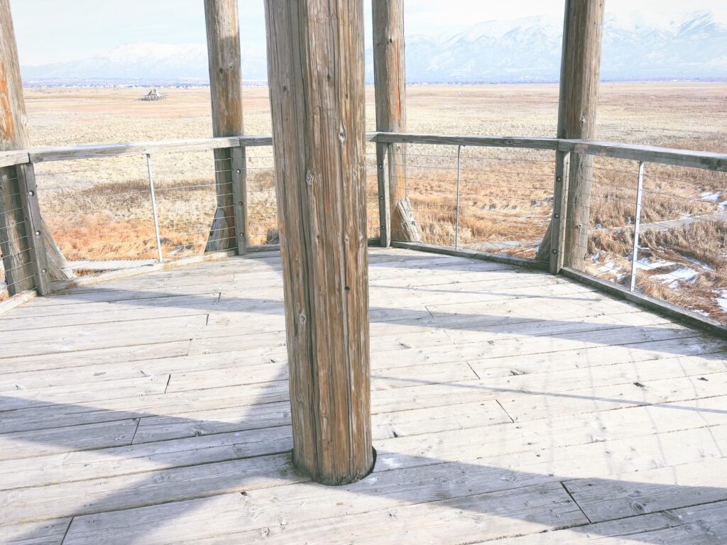 アメリカユタ州グレートソルトレイクショアランズ保護区Great Salt Lake Shorelands Preserve見どころ魅力トレイル・ハイキングモデルコース日本人観光