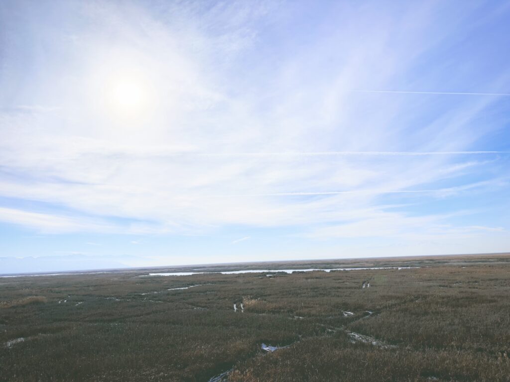 アメリカユタ州グレートソルトレイクショアランズ保護区Great Salt Lake Shorelands Preserve見どころ魅力トレイル・ハイキングモデルコース日本人観光