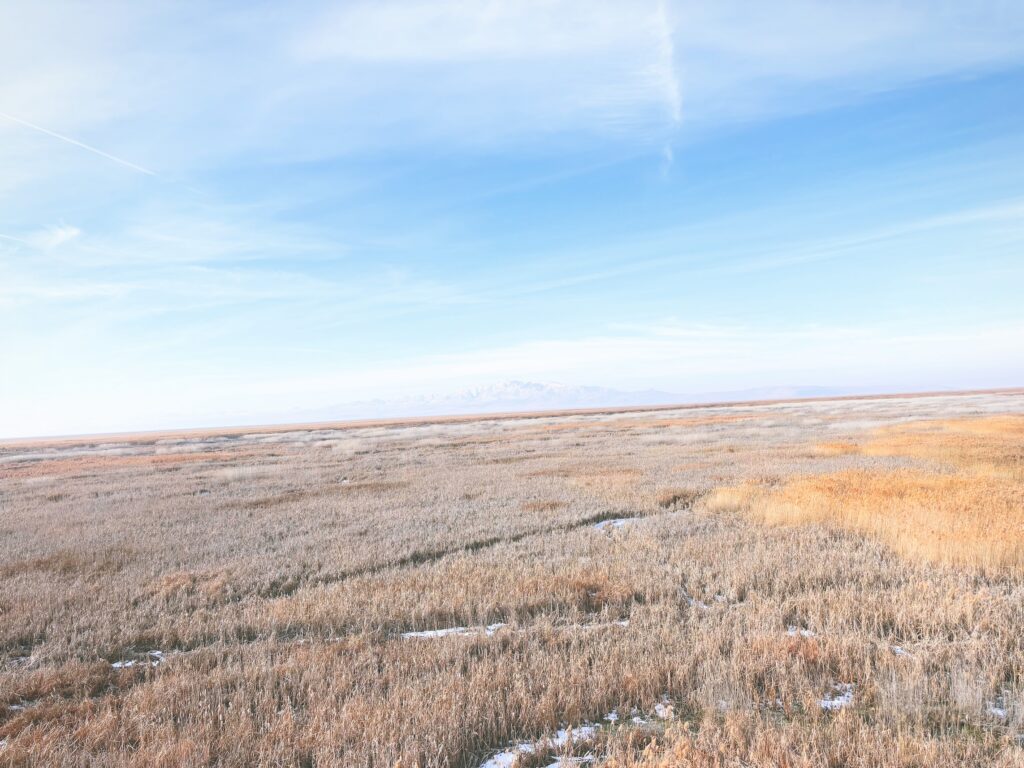 アメリカユタ州グレートソルトレイクショアランズ保護区Great Salt Lake Shorelands Preserve見どころ魅力トレイル・ハイキングモデルコース日本人観光