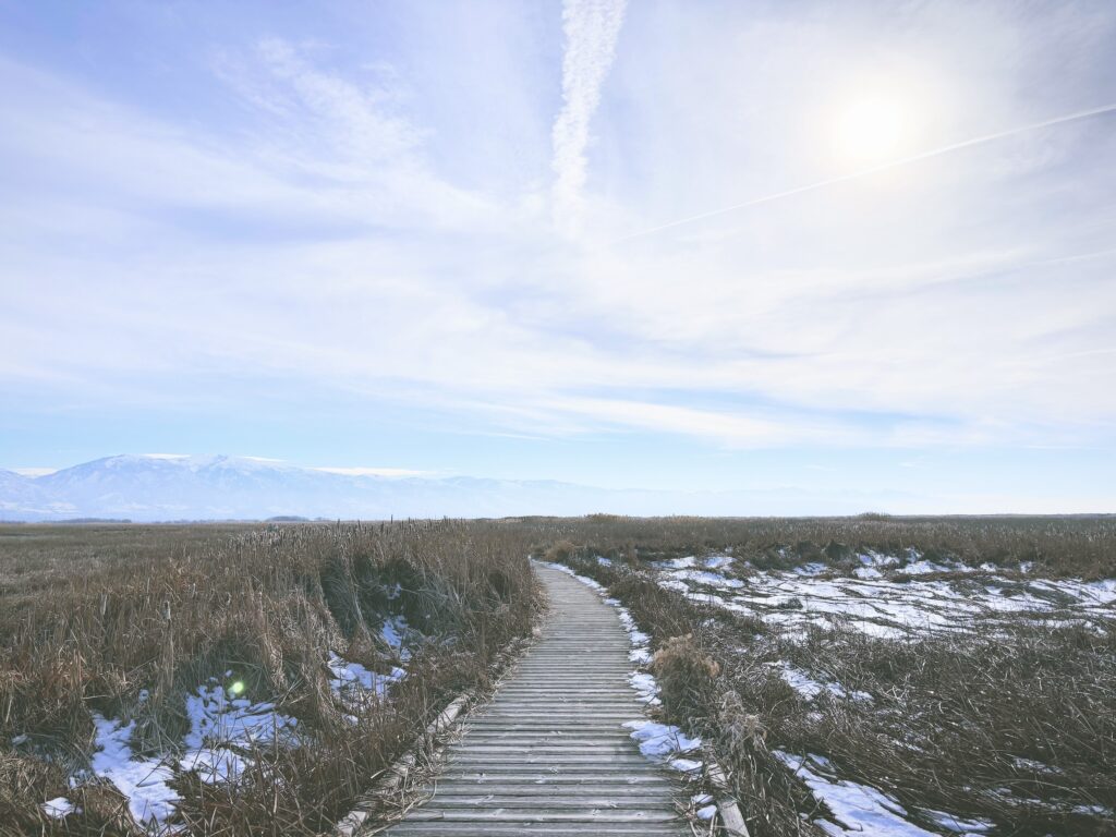 アメリカユタ州グレートソルトレイクショアランズ保護区Great Salt Lake Shorelands Preserve見どころ魅力トレイル・ハイキングモデルコース日本人観光