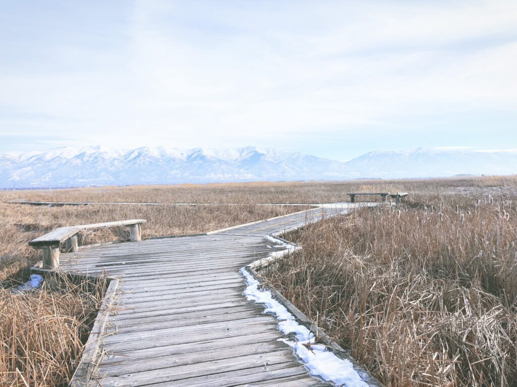 アメリカユタ州グレートソルトレイクショアランズ保護区Great Salt Lake Shorelands Preserve見どころ魅力トレイル・ハイキングモデルコース日本人観光