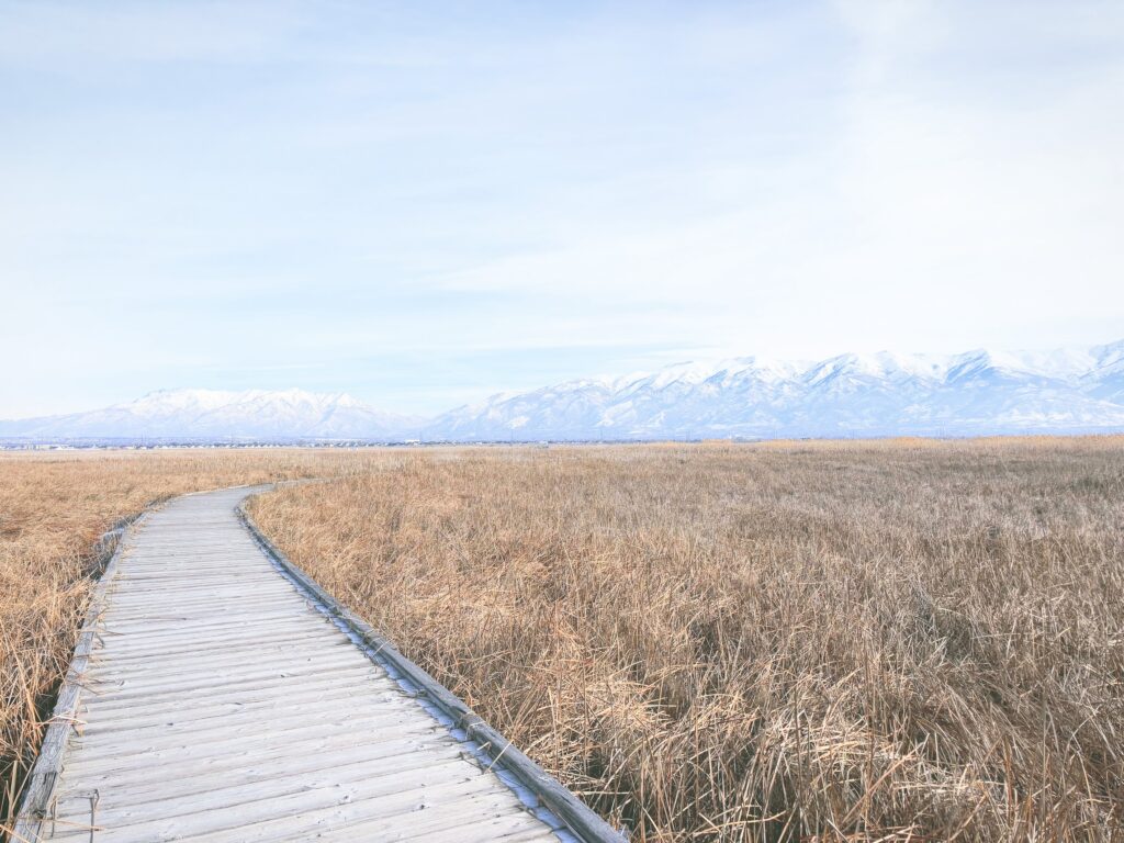 アメリカユタ州グレートソルトレイクショアランズ保護区Great Salt Lake Shorelands Preserve見どころ魅力トレイル・ハイキングモデルコース日本人観光