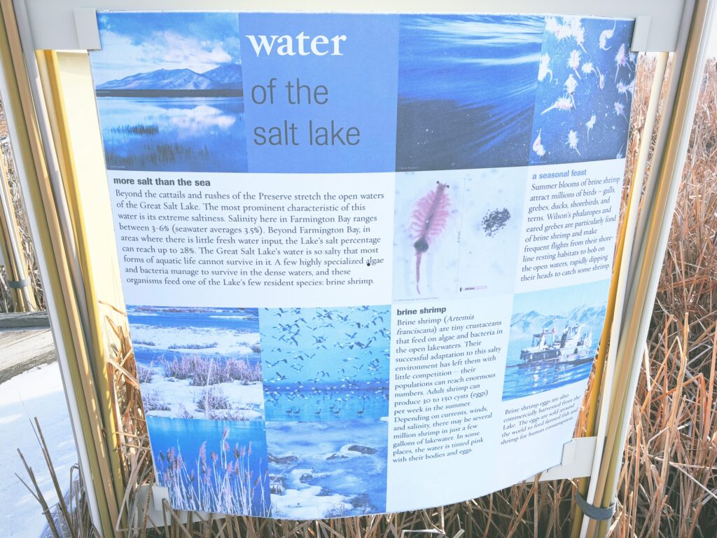 アメリカユタ州グレートソルトレイクショアランズ保護区Great Salt Lake Shorelands Preserve見どころ魅力トレイル・ハイキングモデルコース日本人観光