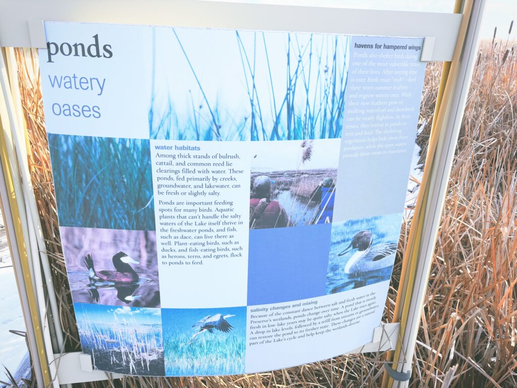 アメリカユタ州グレートソルトレイクショアランズ保護区Great Salt Lake Shorelands Preserve見どころ魅力トレイル・ハイキングモデルコース日本人観光