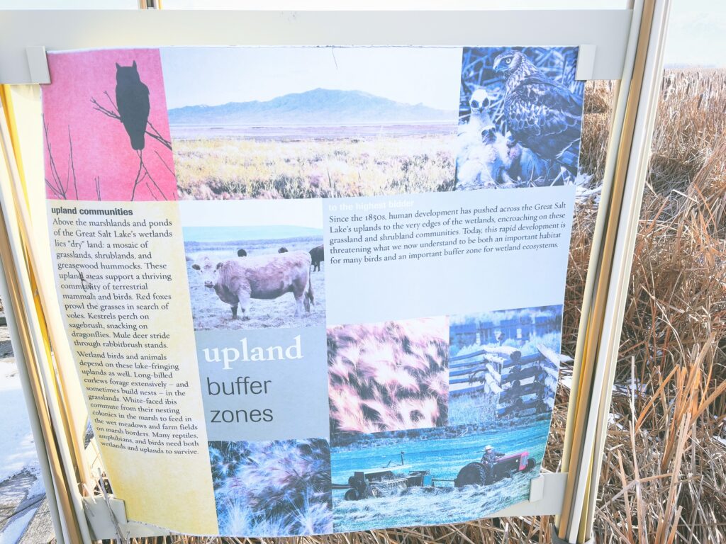 アメリカユタ州グレートソルトレイクショアランズ保護区Great Salt Lake Shorelands Preserve見どころ魅力トレイル・ハイキングモデルコース日本人観光