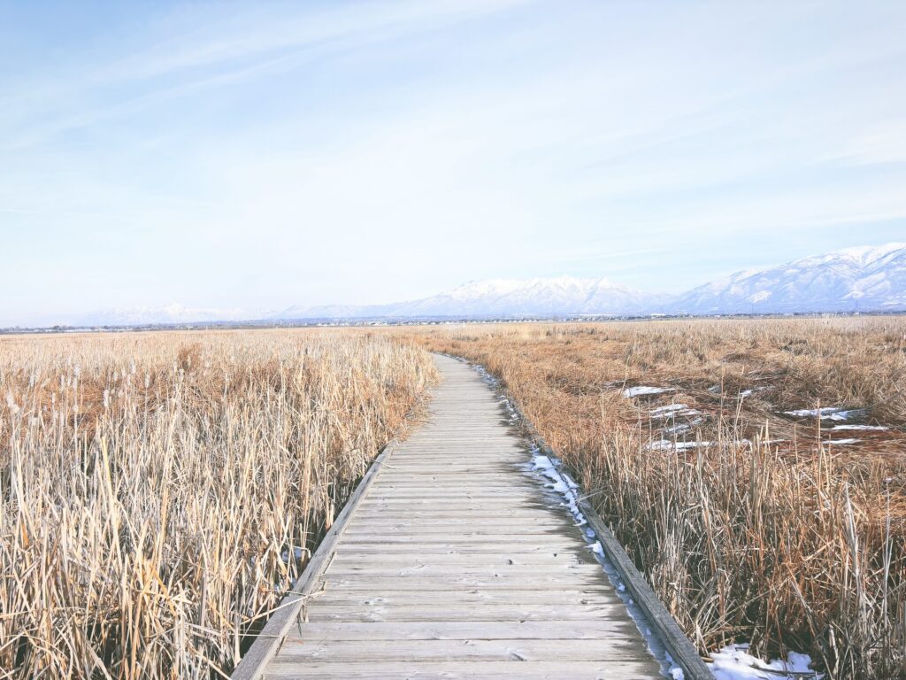 アメリカユタ州グレートソルトレイクショアランズ保護区Great Salt Lake Shorelands Preserve見どころ魅力トレイル・ハイキングモデルコース日本人観光