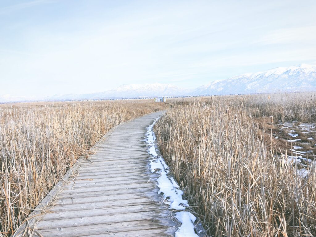 アメリカユタ州グレートソルトレイクショアランズ保護区Great Salt Lake Shorelands Preserve見どころ魅力トレイル・ハイキングモデルコース日本人観光