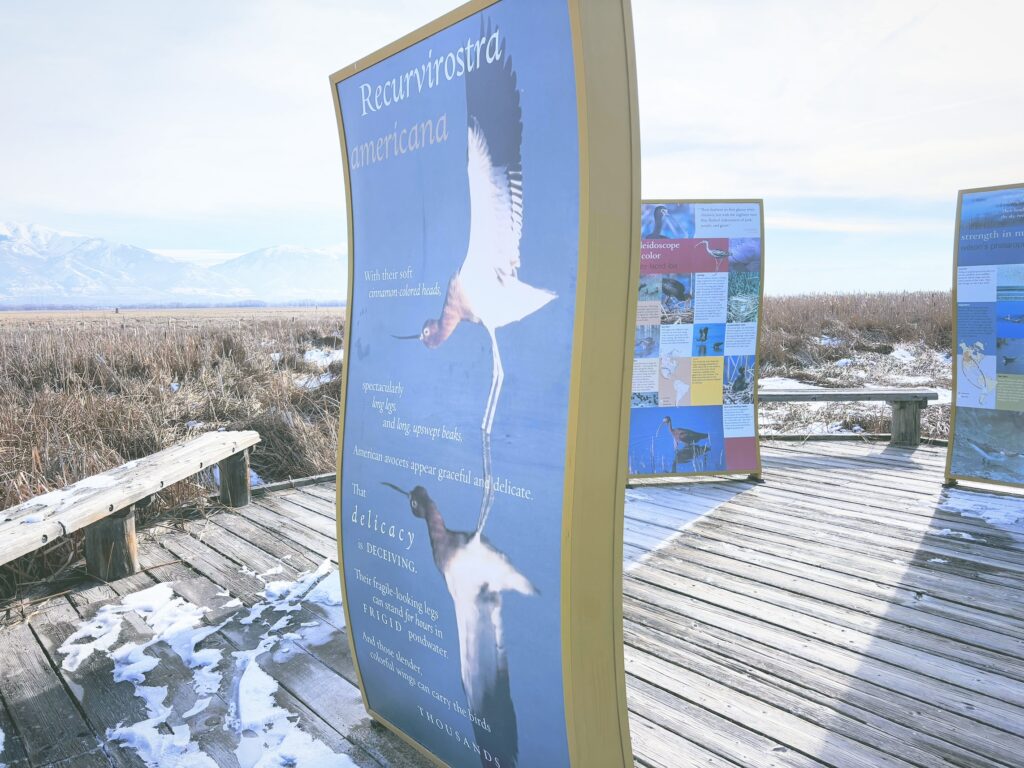 アメリカユタ州グレートソルトレイクショアランズ保護区Great Salt Lake Shorelands Preserve見どころ魅力トレイル・ハイキングモデルコース日本人観光