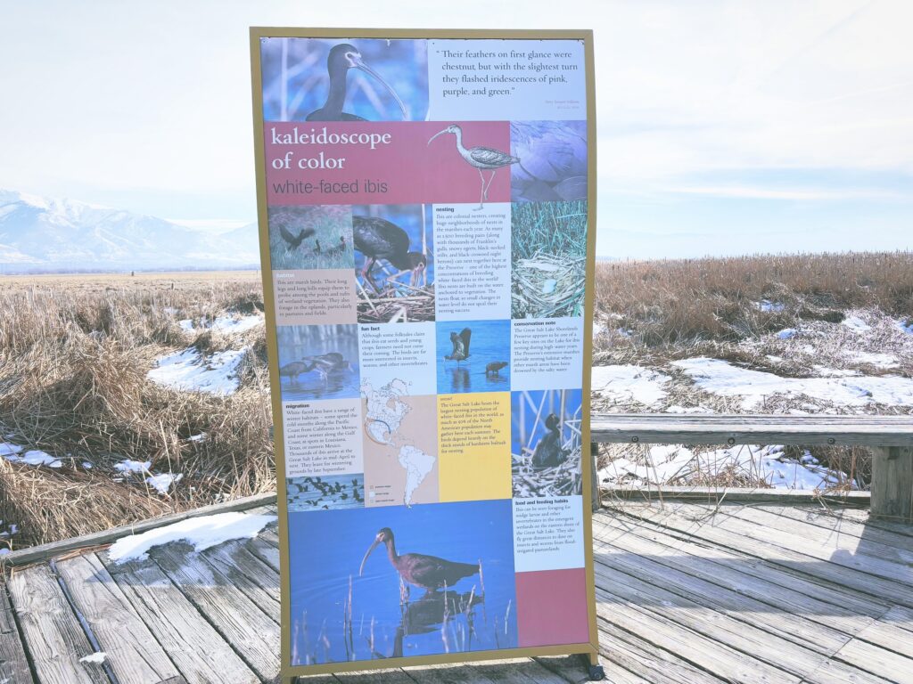 アメリカユタ州グレートソルトレイクショアランズ保護区Great Salt Lake Shorelands Preserve見どころ魅力トレイル・ハイキングモデルコース日本人観光