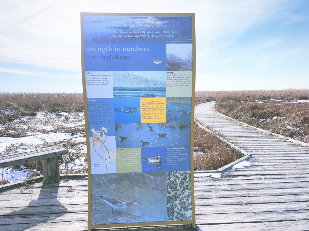 アメリカユタ州グレートソルトレイクショアランズ保護区Great Salt Lake Shorelands Preserve見どころ魅力トレイル・ハイキングモデルコース日本人観光