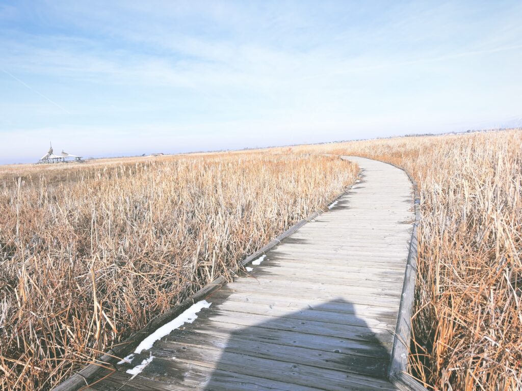 アメリカユタ州グレートソルトレイクショアランズ保護区Great Salt Lake Shorelands Preserve見どころ魅力トレイル・ハイキングモデルコース日本人観光