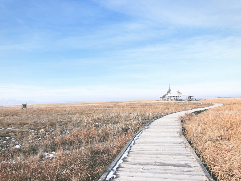 アメリカユタ州グレートソルトレイクショアランズ保護区Great Salt Lake Shorelands Preserve見どころ魅力トレイル・ハイキングモデルコース日本人観光