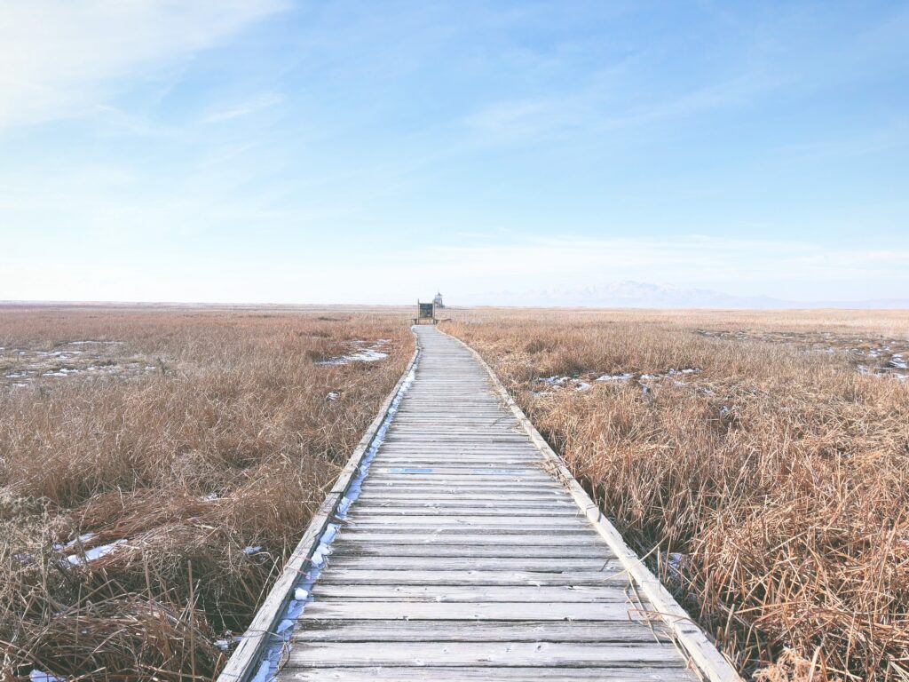 アメリカユタ州グレートソルトレイクショアランズ保護区Great Salt Lake Shorelands Preserve見どころ魅力トレイル・ハイキングモデルコース日本人観光