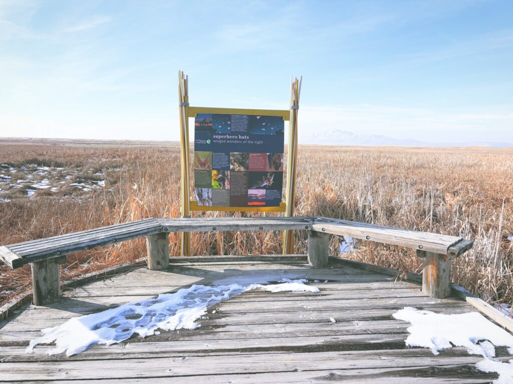 アメリカユタ州グレートソルトレイクショアランズ保護区Great Salt Lake Shorelands Preserve見どころ魅力トレイル・ハイキングモデルコース日本人観光