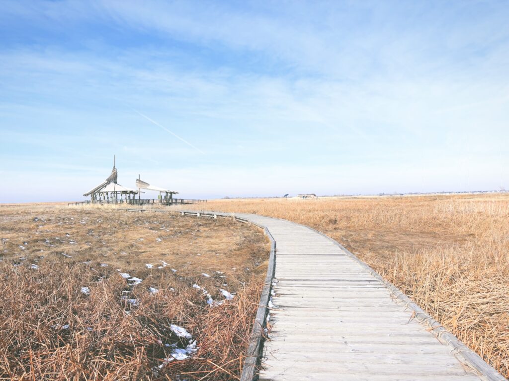 アメリカユタ州グレートソルトレイクショアランズ保護区Great Salt Lake Shorelands Preserve見どころ魅力トレイル・ハイキングモデルコース日本人観光