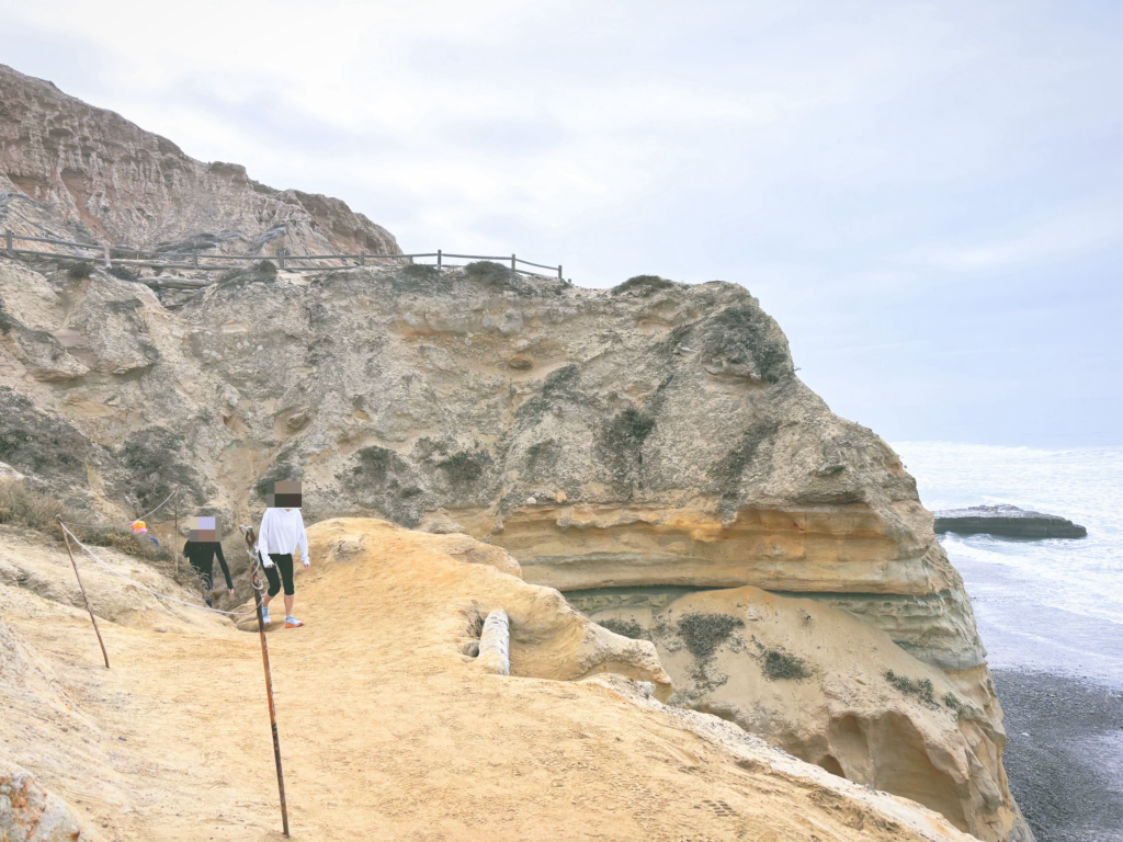 アメリカカリフォルニア州トーリーパインズ州立自然保護区Torrey Pines State Natural Reserve見どころ魅力トレイル・ハイキングモデルコース日本人観光