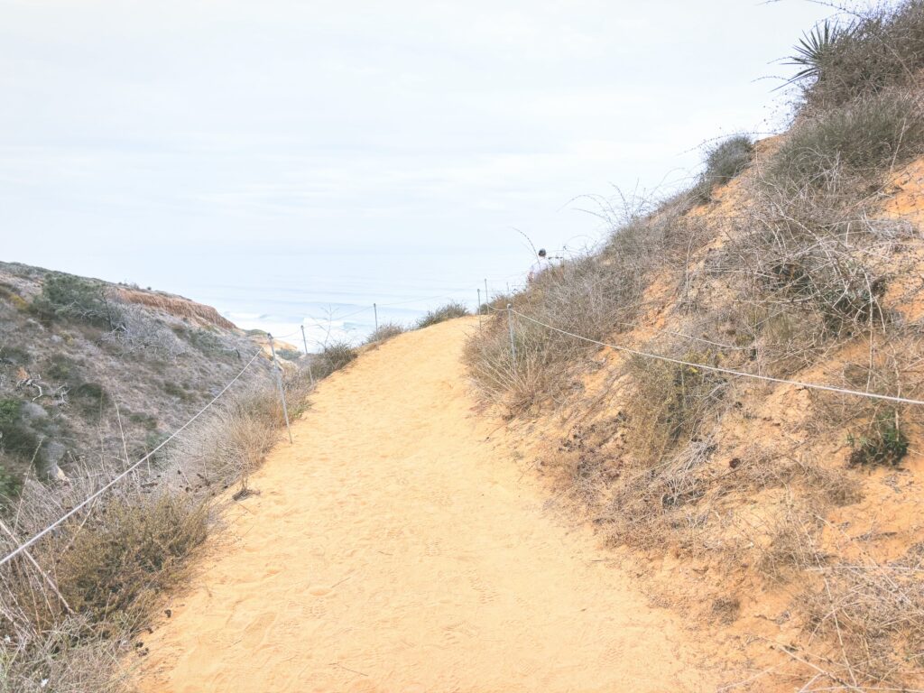 アメリカカリフォルニア州トーリーパインズ州立自然保護区Torrey Pines State Natural Reserve見どころ魅力トレイル・ハイキングモデルコース日本人観光