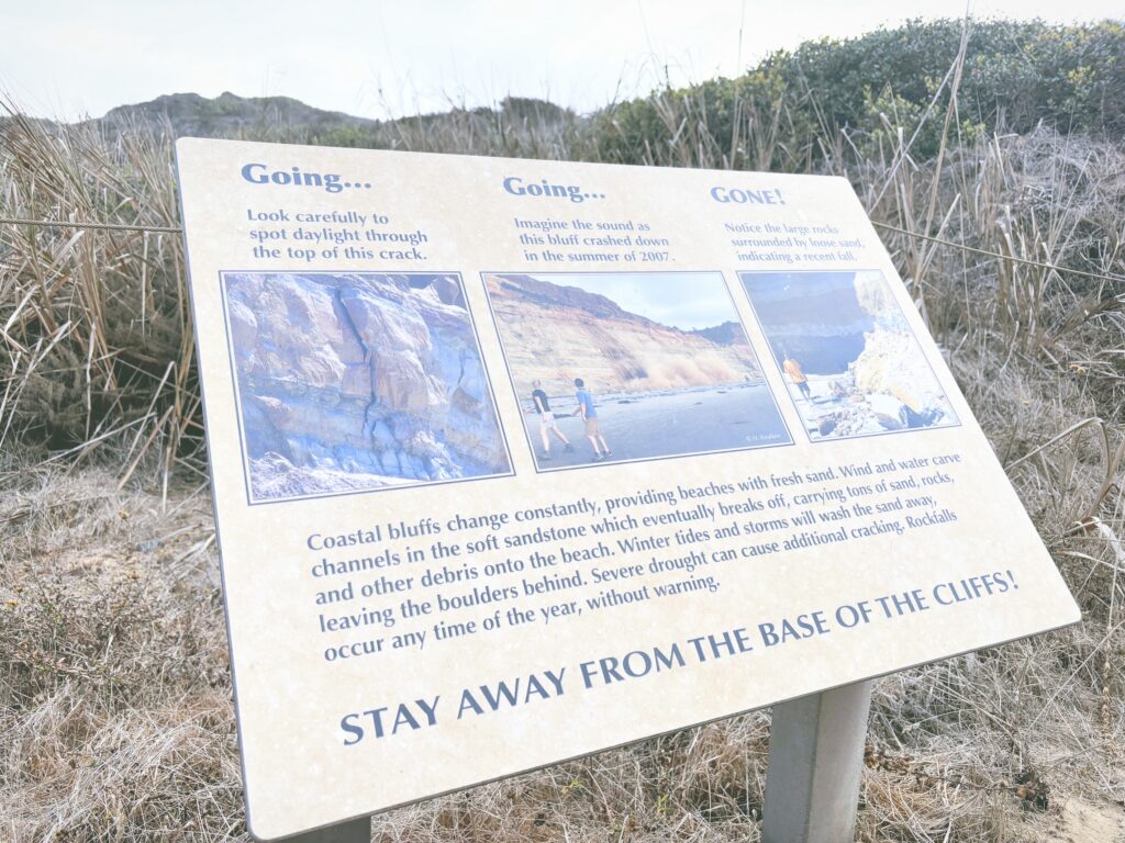 アメリカカリフォルニア州トーリーパインズ州立自然保護区Torrey Pines State Natural Reserve見どころ魅力トレイル・ハイキングモデルコース日本人観光