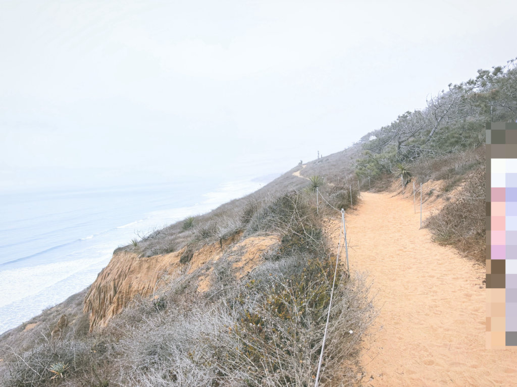 アメリカカリフォルニア州トーリーパインズ州立自然保護区Torrey Pines State Natural Reserve見どころ魅力トレイル・ハイキングモデルコース日本人観光