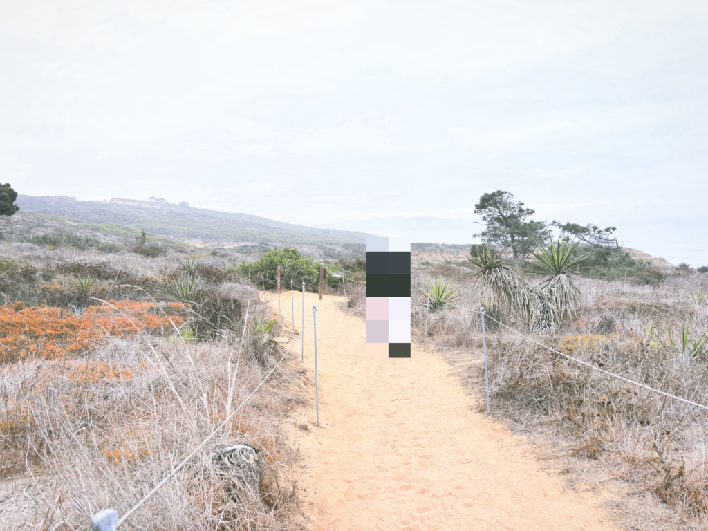 アメリカカリフォルニア州トーリーパインズ州立自然保護区Torrey Pines State Natural Reserve見どころ魅力トレイル・ハイキングモデルコース日本人観光