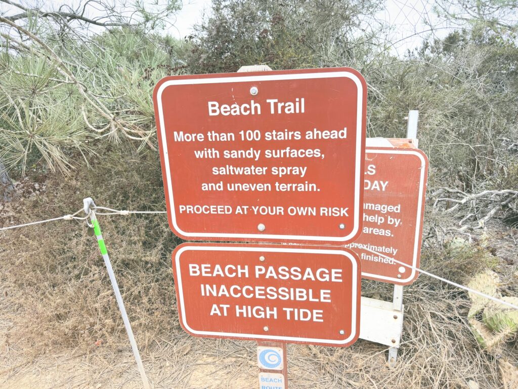 アメリカカリフォルニア州トーリーパインズ州立自然保護区Torrey Pines State Natural Reserve見どころ魅力トレイル・ハイキングモデルコース日本人観光