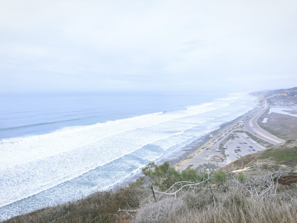 アメリカカリフォルニア州トーリーパインズ州立自然保護区Torrey Pines State Natural Reserve見どころ魅力トレイル・ハイキングモデルコース日本人観光