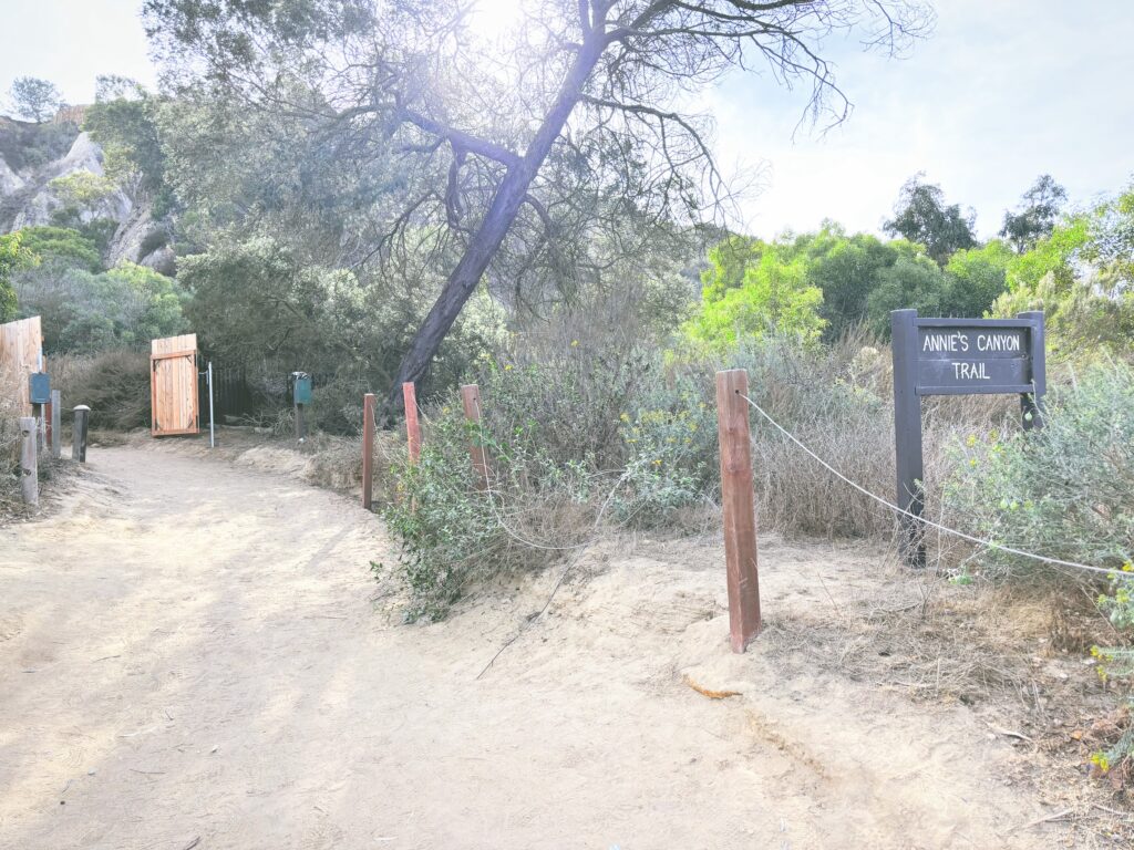 アメリカカリフォルニア州サンエリホラグーン生態保護区San Elijo Lagoon and Ecological Reserve見どころ魅力トレイル・ハイキングモデルコース日本人観光