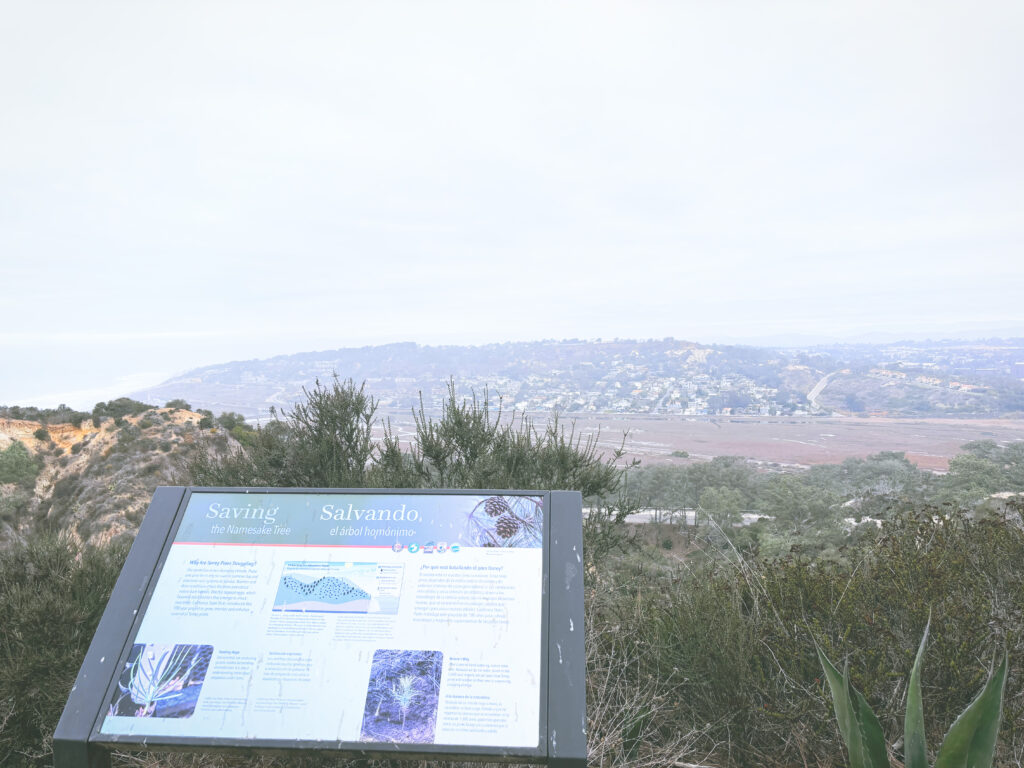 アメリカカリフォルニア州トーリーパインズ州立自然保護区Torrey Pines State Natural Reserve見どころ魅力トレイル・ハイキングモデルコース日本人観光