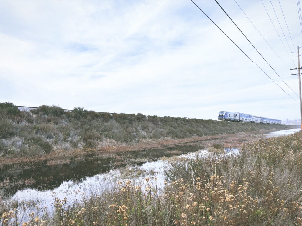 アメリカカリフォルニア州サンエリホラグーン生態保護区San Elijo Lagoon and Ecological Reserve見どころ魅力トレイル・ハイキングモデルコース日本人観光