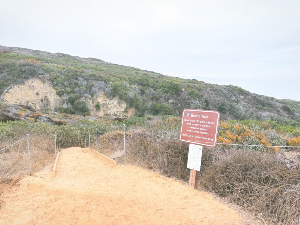 アメリカカリフォルニア州トーリーパインズ州立自然保護区Torrey Pines State Natural Reserve見どころ魅力トレイル・ハイキングモデルコース日本人観光